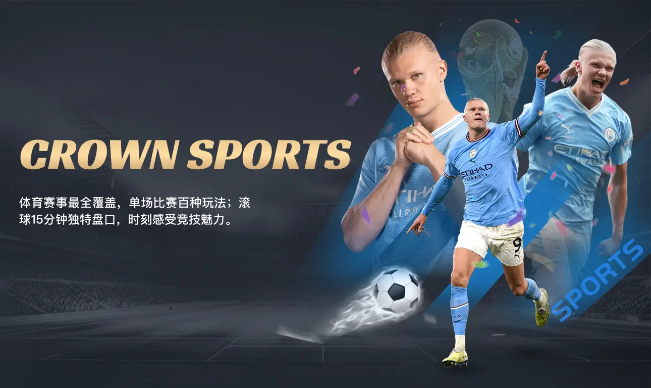 开云网页独家揭秘如何在数字化浪潮中撬动跨境市场红利