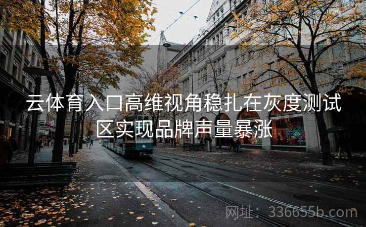 云体育入口高维视角稳扎在灰度测试区实现品牌声量暴涨