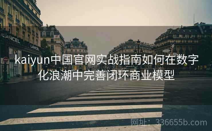 kaiyun中国官网实战指南如何在数字化浪潮中完善闭环商业模型