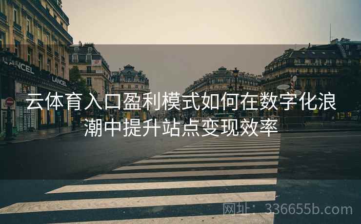 云体育入口盈利模式如何在数字化浪潮中提升站点变现效率