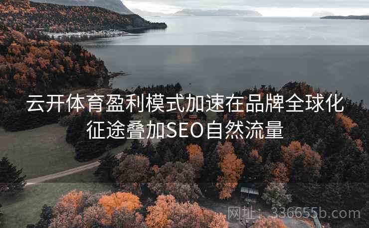 云开体育盈利模式加速在品牌全球化征途叠加SEO自然流量
