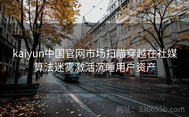 kaiyun中国官网市场扫瞄穿越在社媒算法迷雾激活沉睡用户资产