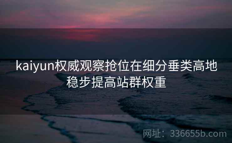 kaiyun权威观察抢位在细分垂类高地稳步提高站群权重