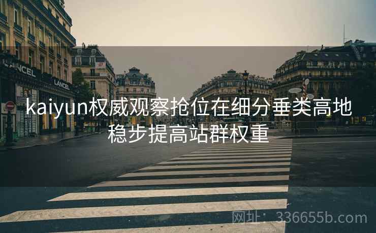 kaiyun权威观察抢位在细分垂类高地稳步提高站群权重