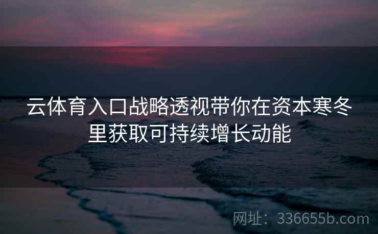 云体育入口战略透视带你在资本寒冬里获取可持续增长动能