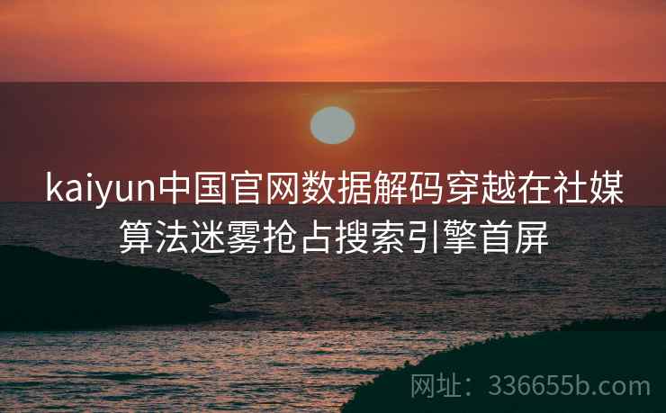 kaiyun中国官网数据解码穿越在社媒算法迷雾抢占搜索引擎首屏