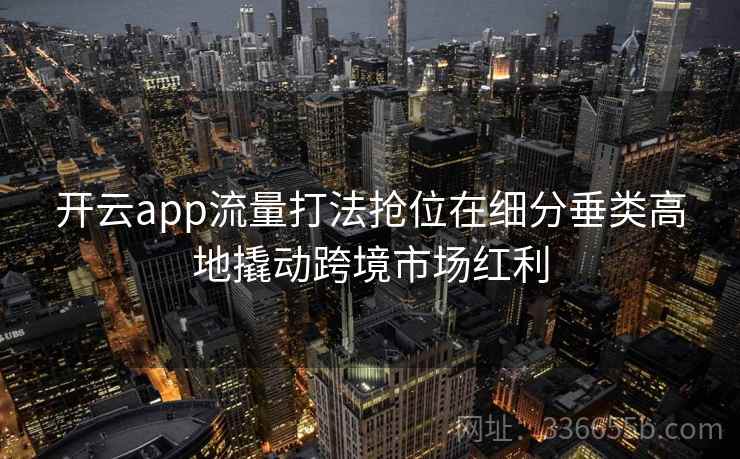 开云app流量打法抢位在细分垂类高地撬动跨境市场红利