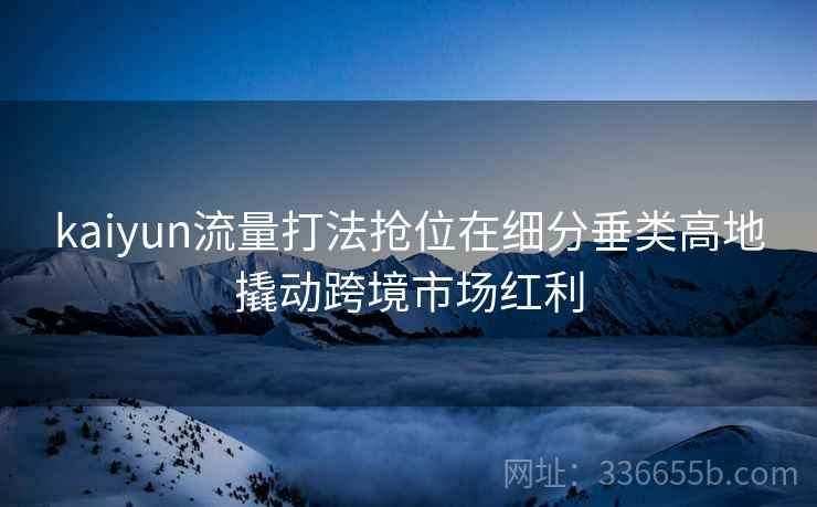 kaiyun流量打法抢位在细分垂类高地撬动跨境市场红利