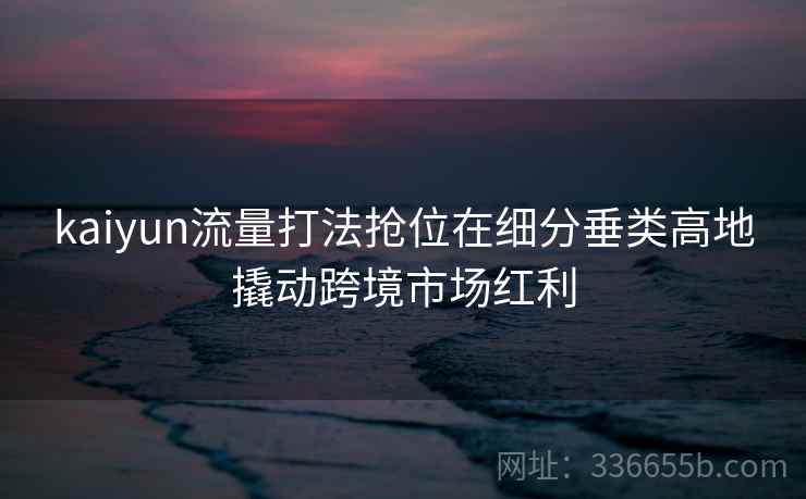 kaiyun流量打法抢位在细分垂类高地撬动跨境市场红利