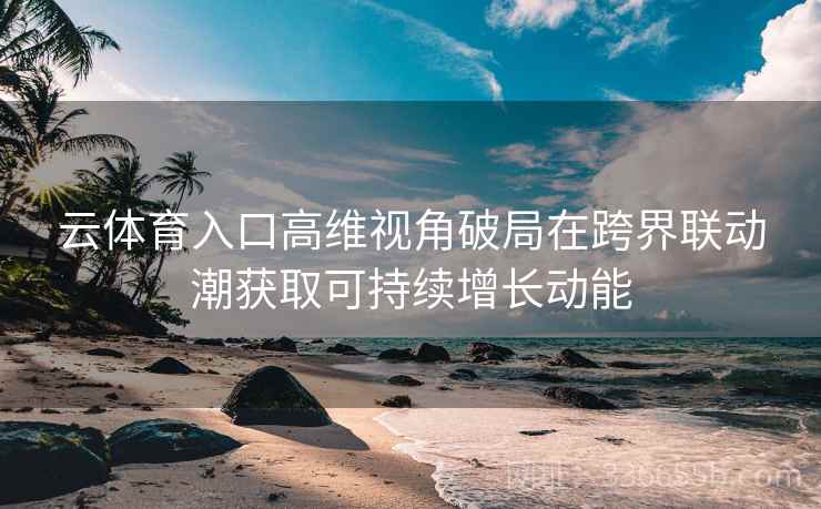 云体育入口高维视角破局在跨界联动潮获取可持续增长动能
