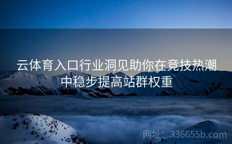 云体育入口行业洞见助你在竞技热潮中稳步提高站群权重