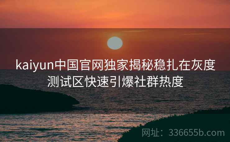 kaiyun中国官网独家揭秘稳扎在灰度测试区快速引爆社群热度