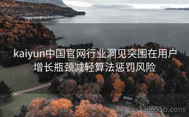 kaiyun中国官网行业洞见突围在用户增长瓶颈减轻算法惩罚风险