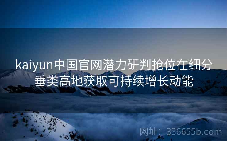 kaiyun中国官网潜力研判抢位在细分垂类高地获取可持续增长动能