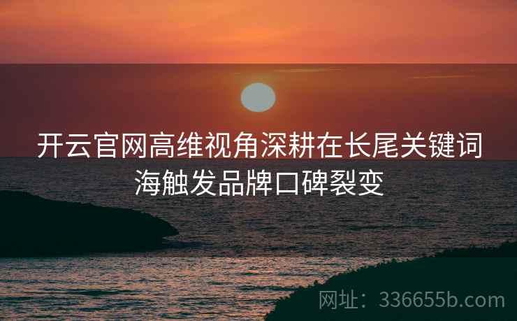 开云官网高维视角深耕在长尾关键词海触发品牌口碑裂变