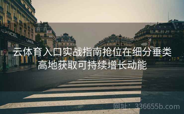 云体育入口实战指南抢位在细分垂类高地获取可持续增长动能